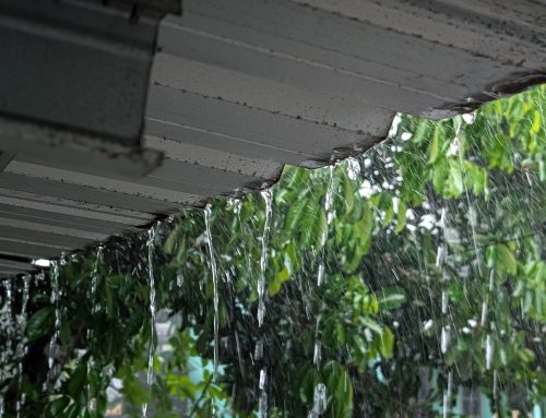 Underground Gutter Drainage: A Florida Homeowner’s Guide to Burying Your Downspouts